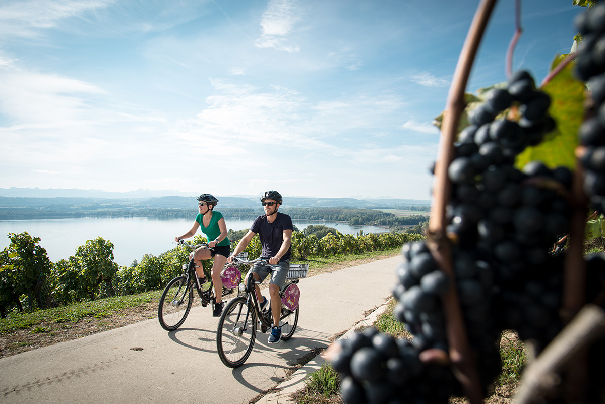 Vully-les-Lacs Velo - N?470 Tour du lac de Morat SuisseMobile Photographer: David Carlier www.davidcarlierphotography.com