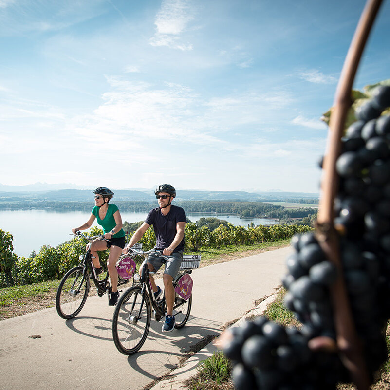 Vully-les-Lacs Velo - N?470 Tour du lac de Morat SuisseMobile Photographer: David Carlier www.davidcarlierphotography.com